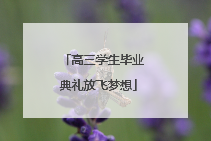 高三学生毕业典礼放飞梦想