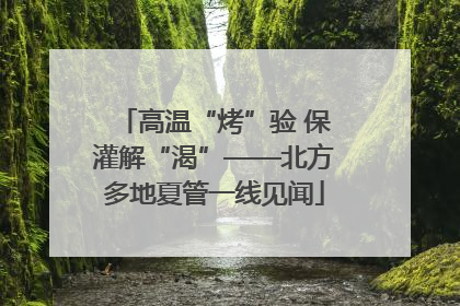高温“烤”验 保灌解“渴”——北方多地夏管一线见闻