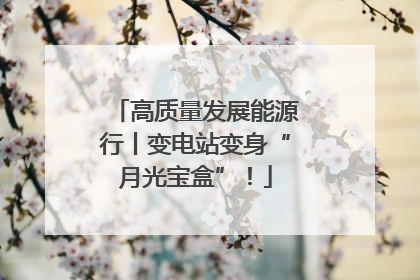 高质量发展能源行丨变电站变身“月光宝盒”！