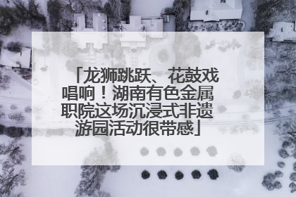 龙狮跳跃、花鼓戏唱响！湖南有色金属职院这场沉浸式非遗游园活动很带感