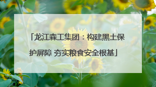 龙江森工集团：构建黑土保护屏障 夯实粮食安全根基