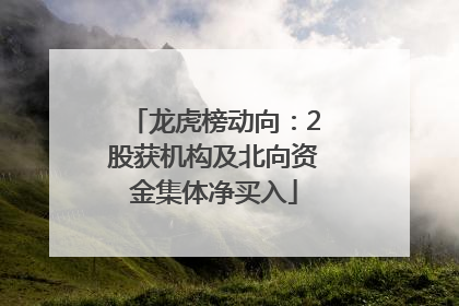 龙虎榜动向：2股获机构及北向资金集体净买入
