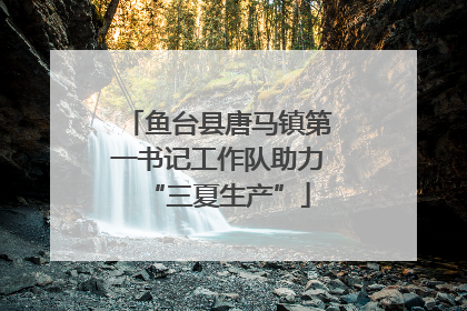 鱼台县唐马镇第一书记工作队助力“三夏生产”