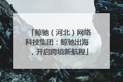 鲸驰（河北）网络科技集团：鲸驰出海，开启跨境新航程