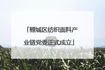 鲤城区纺织面料产业链党委正式成立