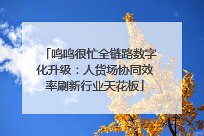 鸣鸣很忙全链路数字化升级：人货场协同效率刷新行业天花板