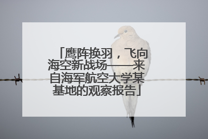 鹰阵换羽，飞向海空新战场——来自海军航空大学某基地的观察报告