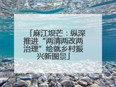 麻江坝芒：纵深推进“两清两改两治理”绘就乡村振兴新图景