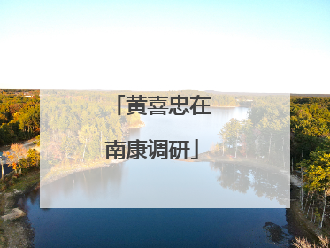 黄喜忠在南康调研