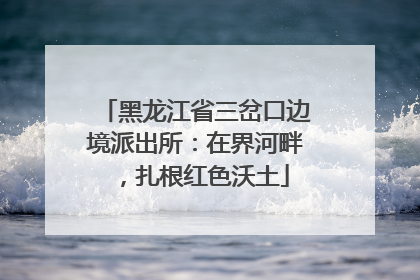 黑龙江省三岔口边境派出所：在界河畔，扎根红色沃土