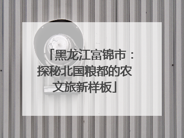 黑龙江富锦市：探秘北国粮都的农文旅新样板