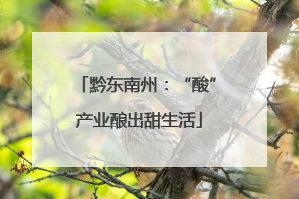 黔东南州：“酸”产业酿出甜生活