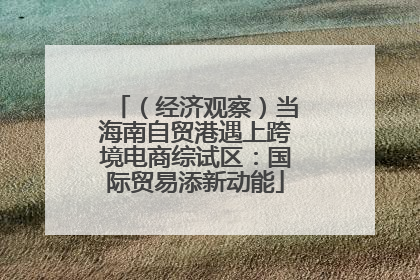 （经济观察）当海南自贸港遇上跨境电商综试区：国际贸易添新动能