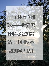 （体育）排球——世界男排联赛芝加哥站：中国队不敌加拿大队