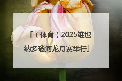 （体育）2025维也纳多瑙河龙舟赛举行