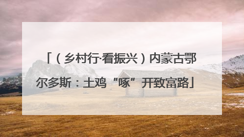 （乡村行·看振兴）内蒙古鄂尔多斯：土鸡“啄”开致富路