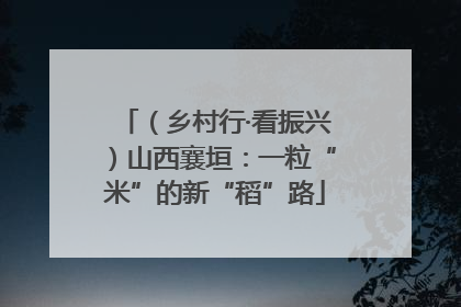 （乡村行·看振兴）山西襄垣：一粒“米”的新“稻”路