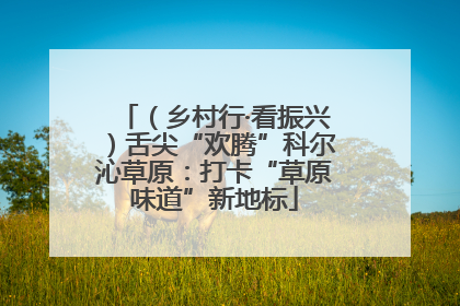 （乡村行·看振兴）舌尖“欢腾”科尔沁草原：打卡“草原味道”新地标