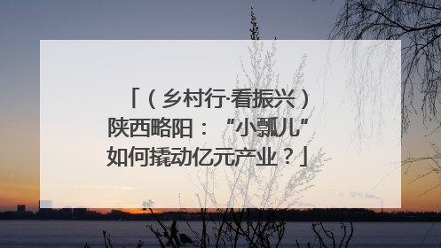 （乡村行·看振兴）陕西略阳：“小瓢儿”如何撬动亿元产业？