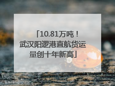 10.81万吨！武汉阳逻港直航货运量创十年新高