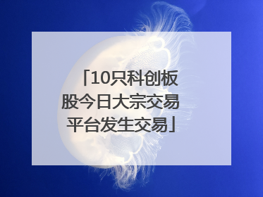 10只科创板股今日大宗交易平台发生交易