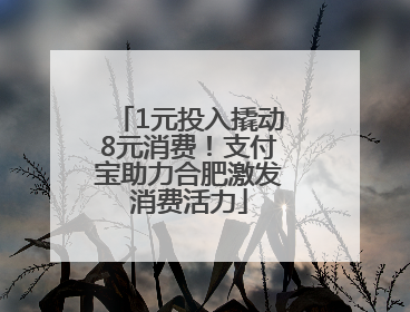 1元投入撬动8元消费！支付宝助力合肥激发消费活力