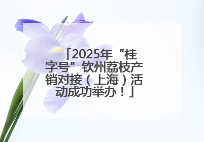 2025年“桂字号”钦州荔枝产销对接（上海）活动成功举办！