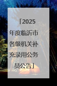 2025年度临沂市各级机关补充录用公务员公告