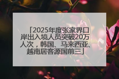 2025年度张家界口岸出入境人员突破20万人次，韩国、马来西亚、越南居客源国前三