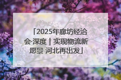 2025年廊坊经洽会·深度｜实现物流新愿景 河北再出发
