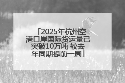 2025年杭州空港口岸国际货运量已突破10万吨 较去年同期提前一周