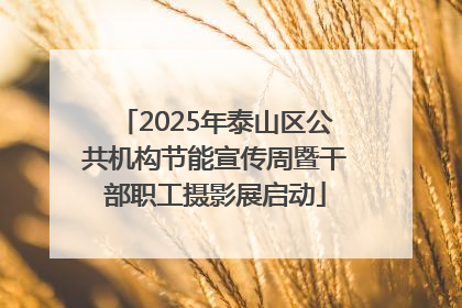 2025年泰山区公共机构节能宣传周暨干部职工摄影展启动