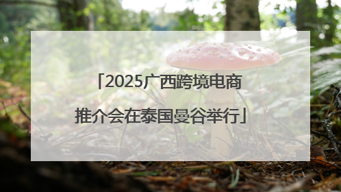 2025广西跨境电商推介会在泰国曼谷举行
