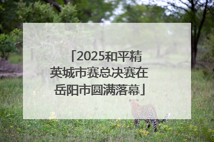2025和平精英城市赛总决赛在岳阳市圆满落幕