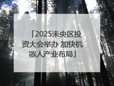 2025未央区投资大会举办 加快机器人产业布局