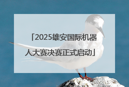 2025雄安国际机器人大赛决赛正式启动