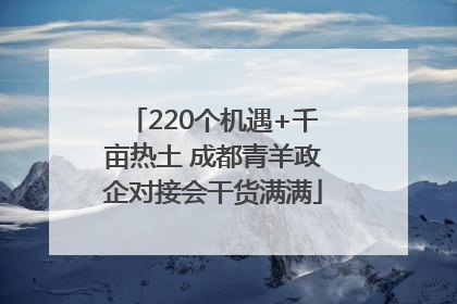 220个机遇+千亩热土 成都青羊政企对接会干货满满