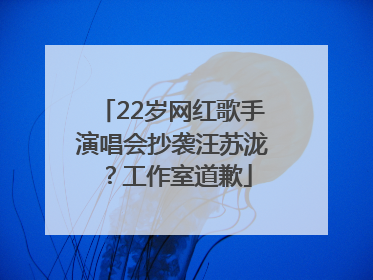 22岁网红歌手演唱会抄袭汪苏泷？工作室道歉