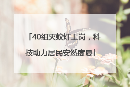 40组灭蚊灯上岗，科技助力居民安然度夏