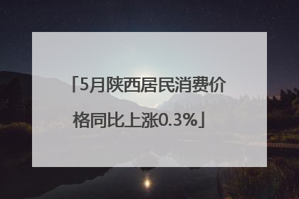 5月陕西居民消费价格同比上涨0.3%