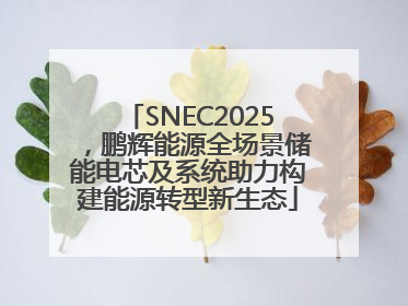 SNEC2025，鹏辉能源全场景储能电芯及系统助力构建能源转型新生态